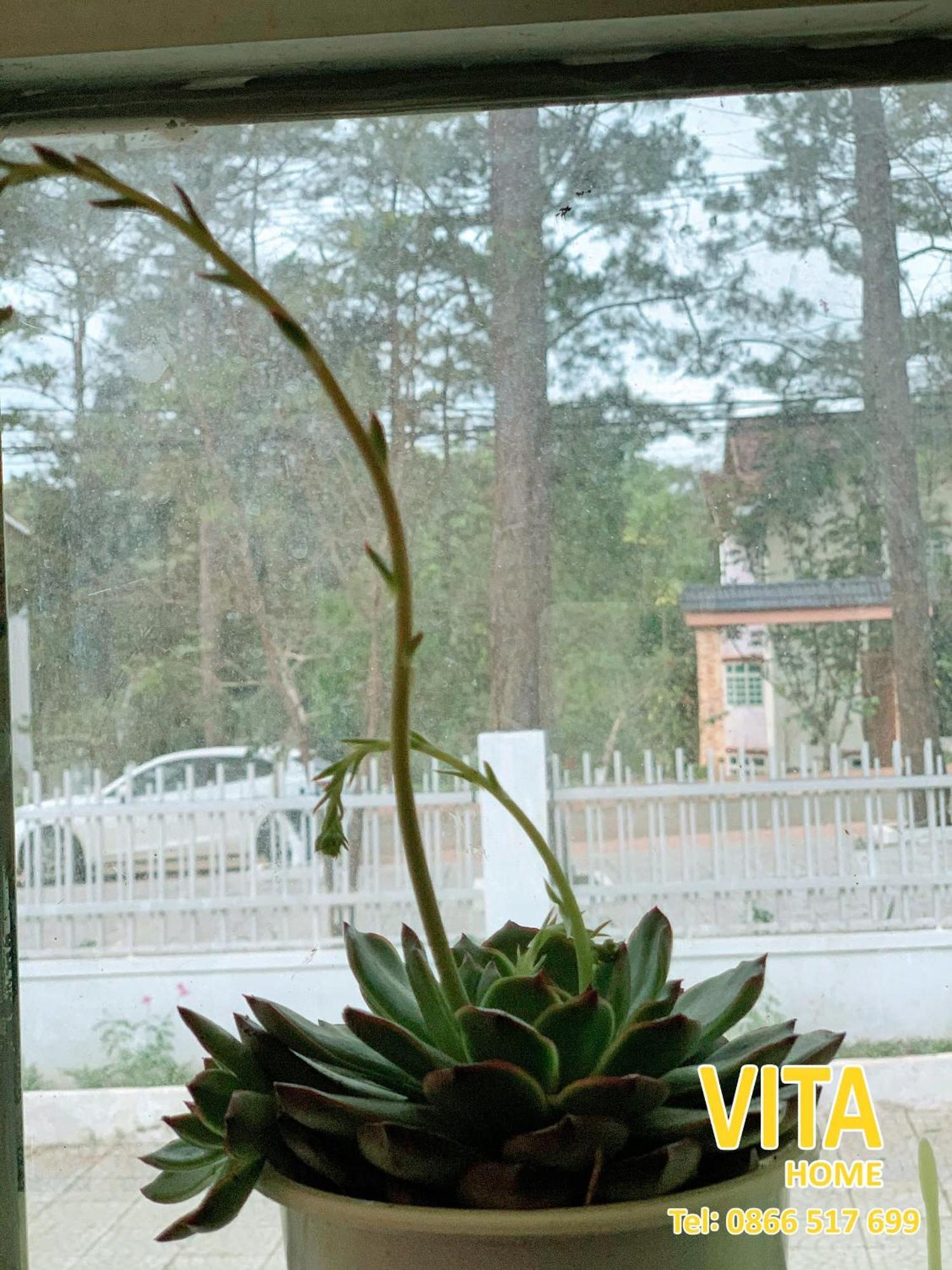 Vita Homestay Mang Den Kon Von Kla Eksteriør billede